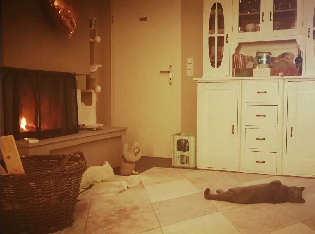 gemtliches wohnzimmer