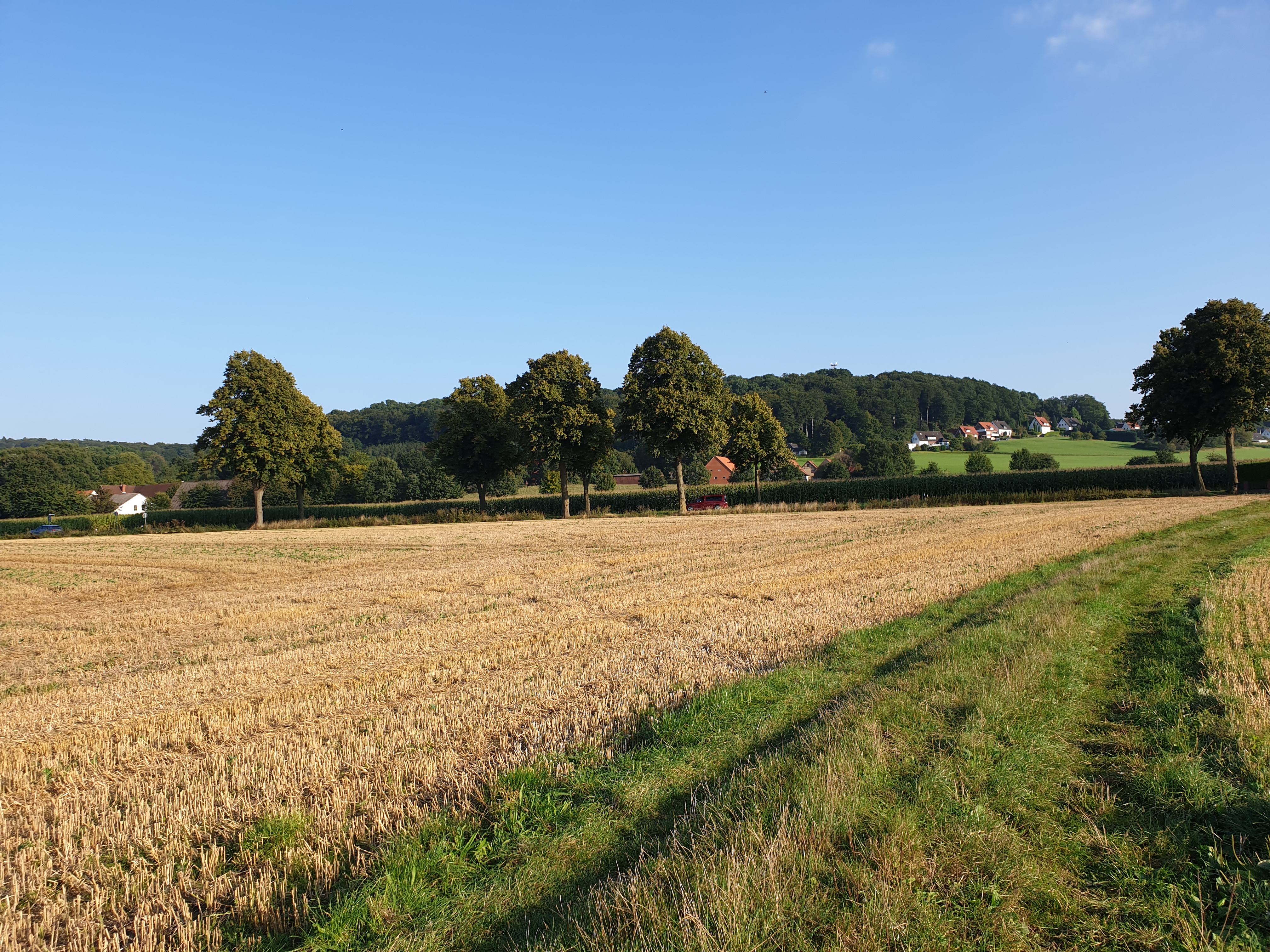 Landschaft