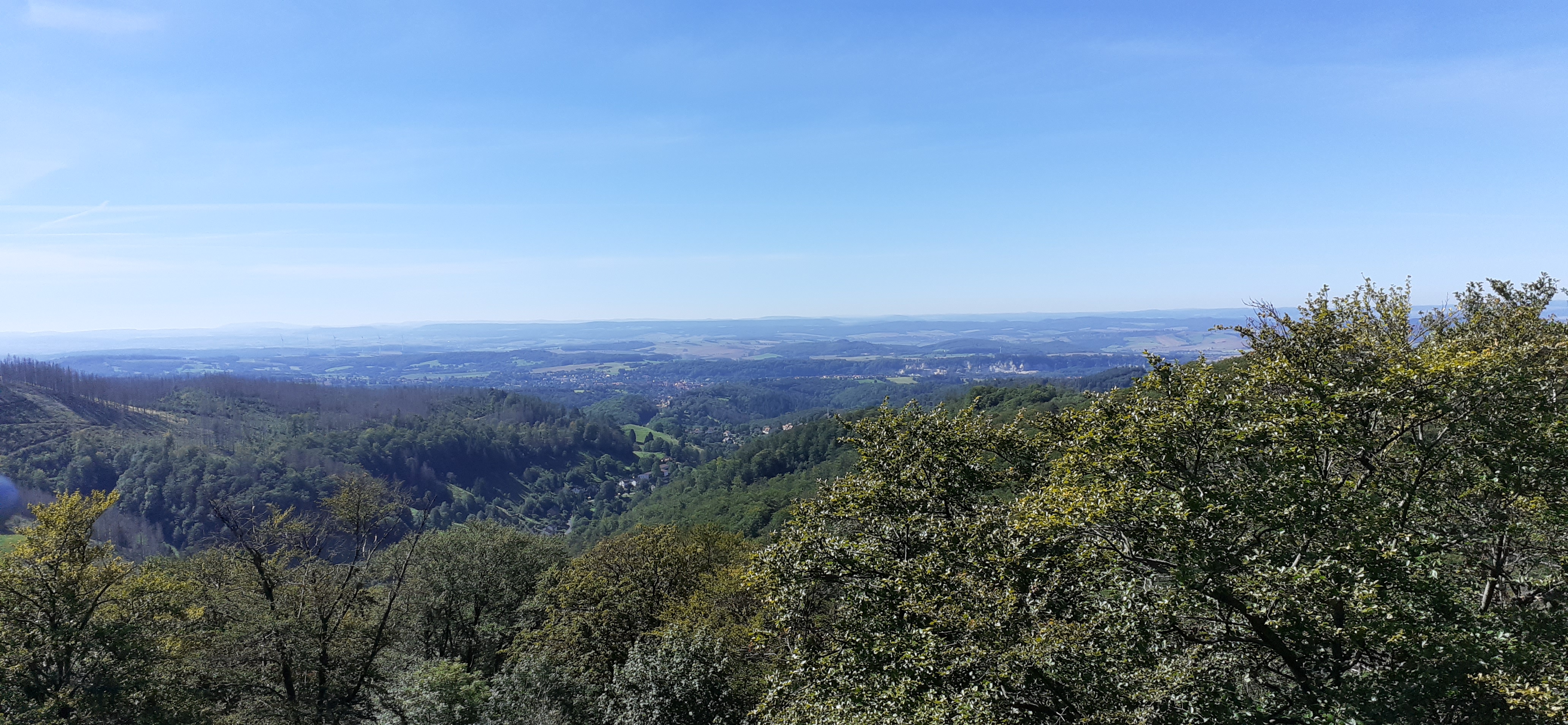 Aussichtsturm Kuckholzklippe Blick ins Lerbachtal